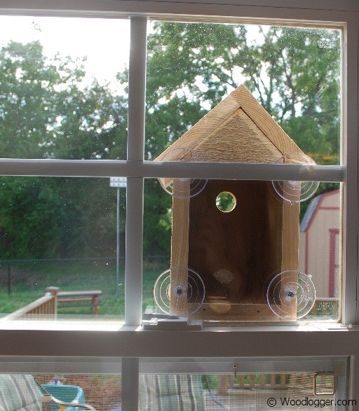 Window Bird House Nestbox