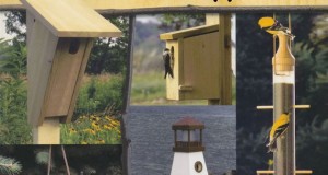 Easy to Build Birdhouses A Natural Approach-Book Review