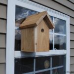 Window Bird House – Nestbox