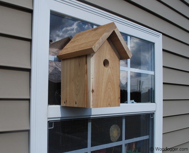 Window BirdHouse