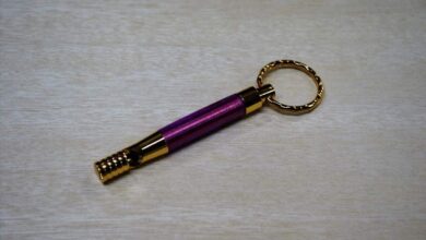 Whistle Key Ring
