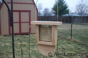 Suet Feeder Finished