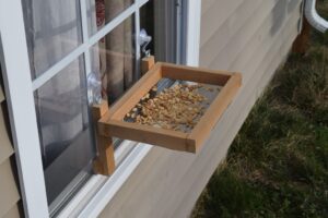 Window Bird Feeder