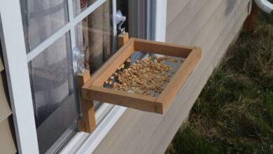 Window Bird Feeder