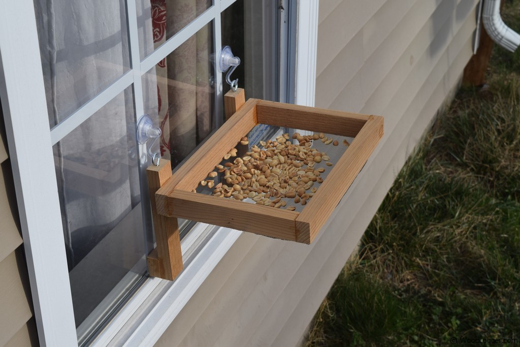 Window Bird Feeders, Window Mount Bird Feeders, In-House Bird