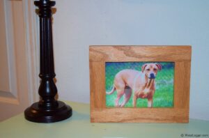 Completed Frame